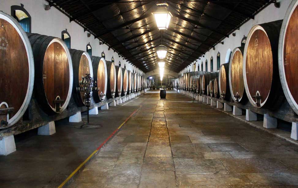 Colares Regional Wine Cellars