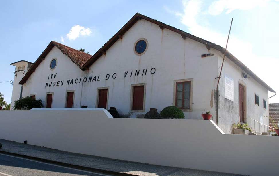 National Wine Museum (Museu Nacional do Vinho)