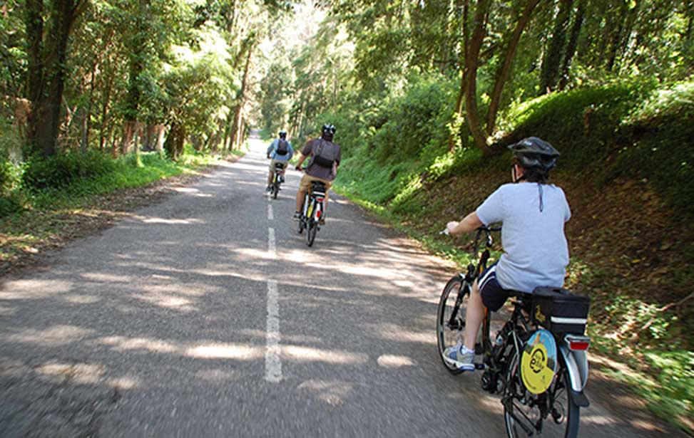 E-bikes in Sintra