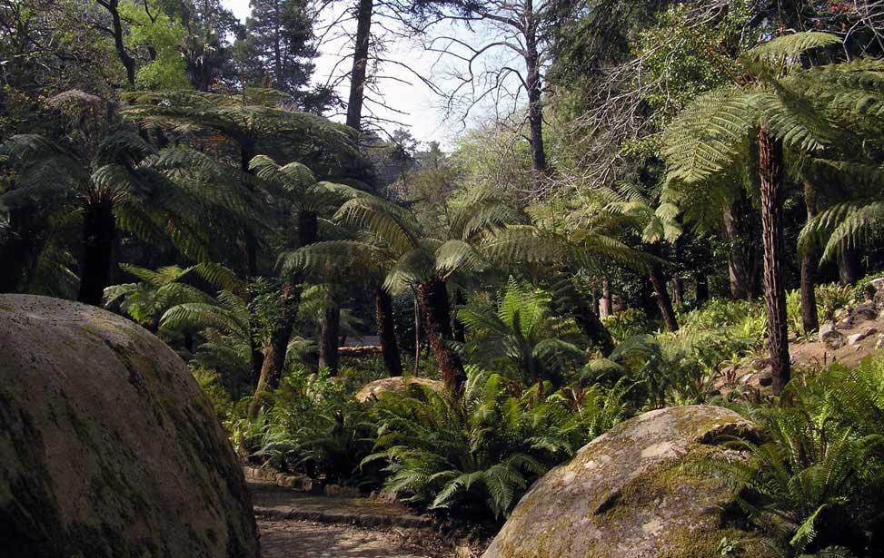 Parque da Pena (Pena Park)