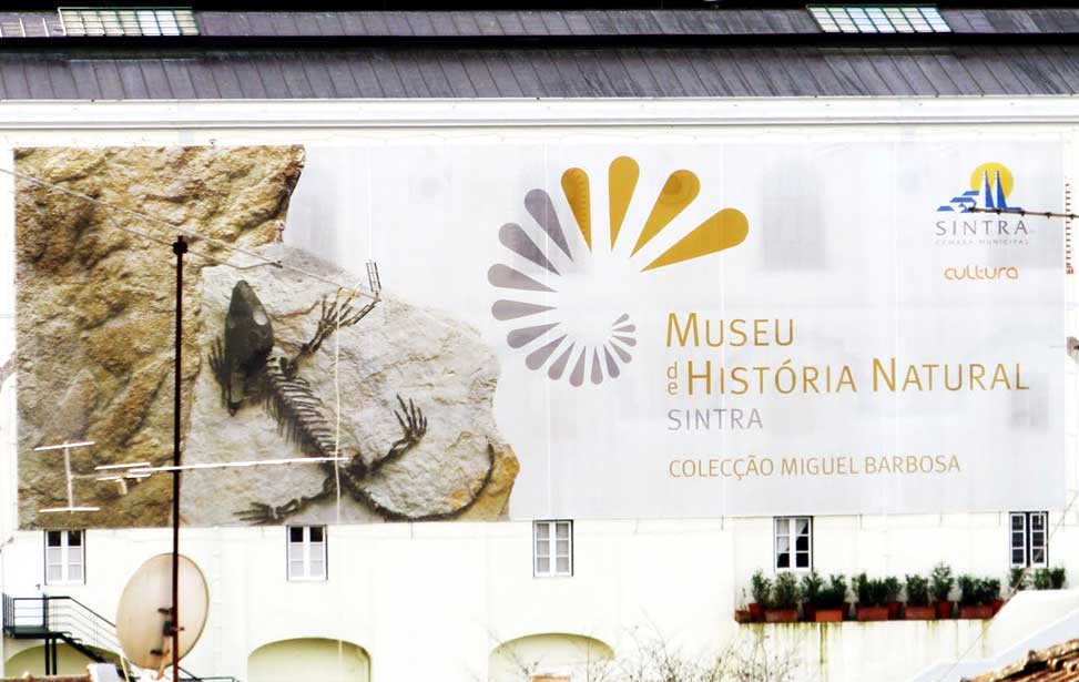 Sintra's Natural History Museum (Museu de História Natural de Sintra)