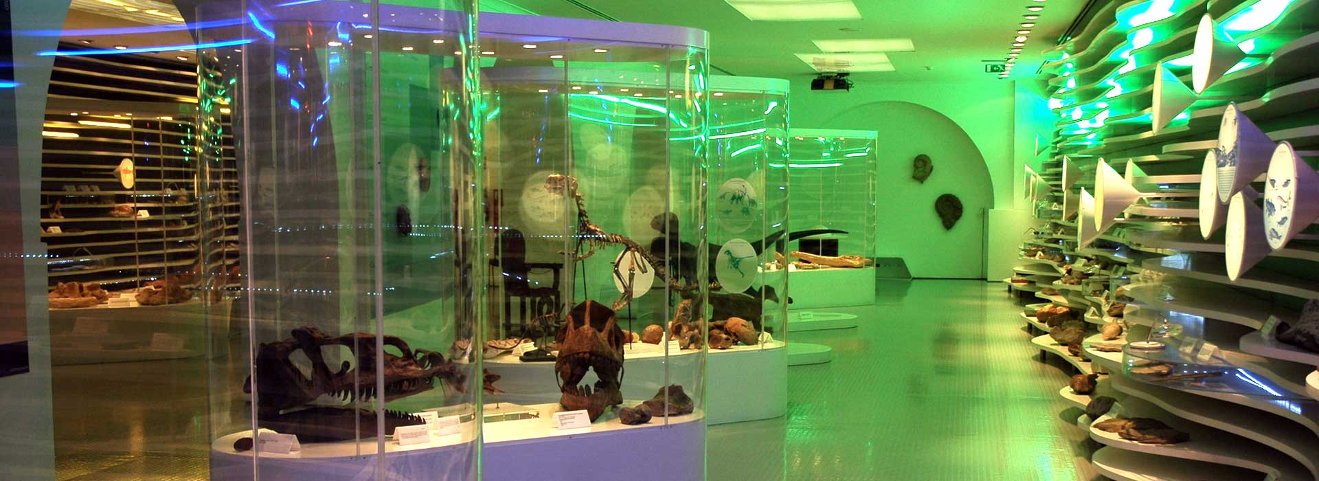 Sintra's Natural History Museum (Museu de História Natural de Sintra)