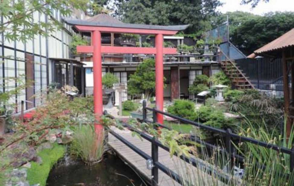 Zen Museu do Bonsai